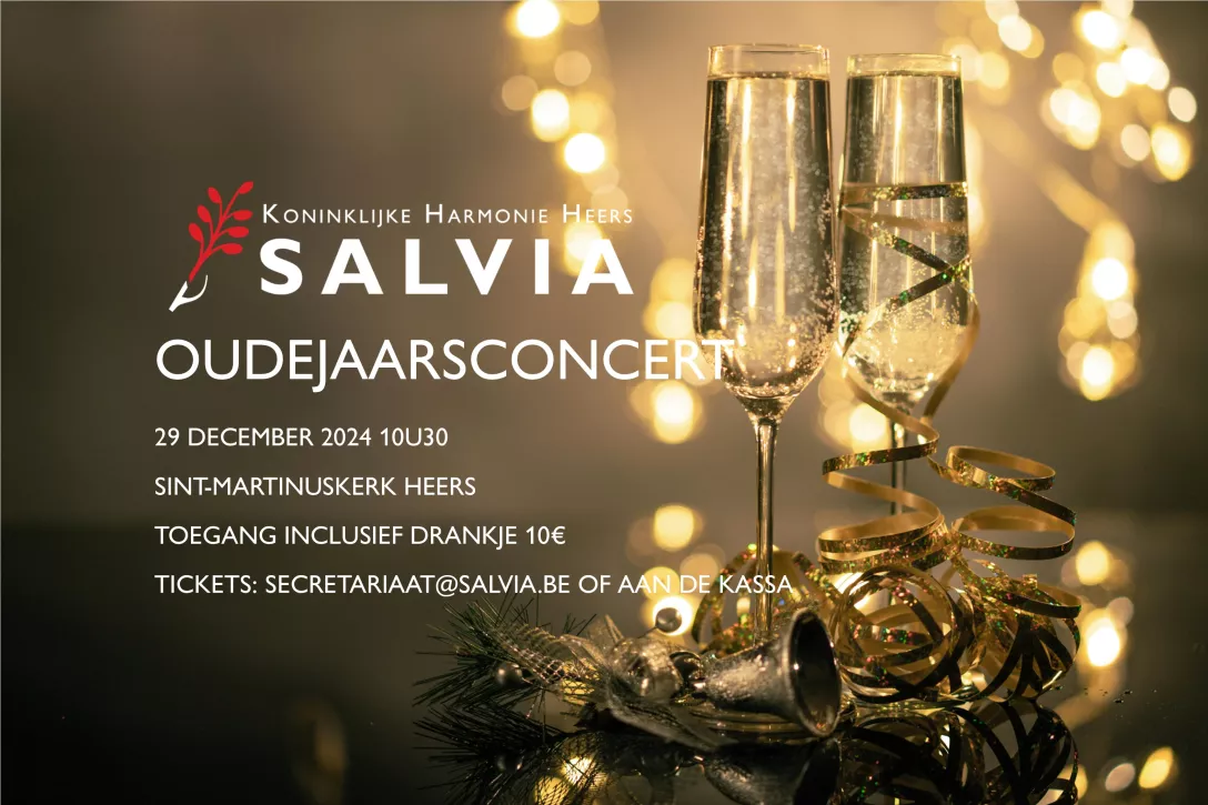 Bigger view of Oudejaarsconcert